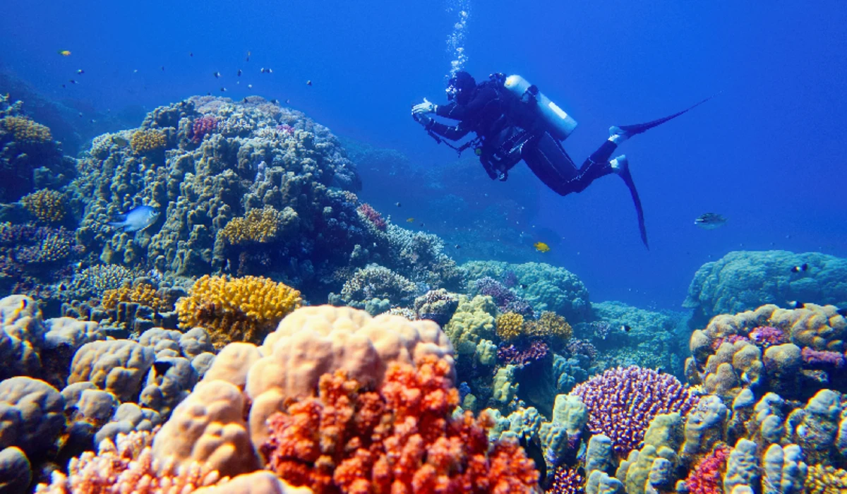 Underwater Diving, Hurghada