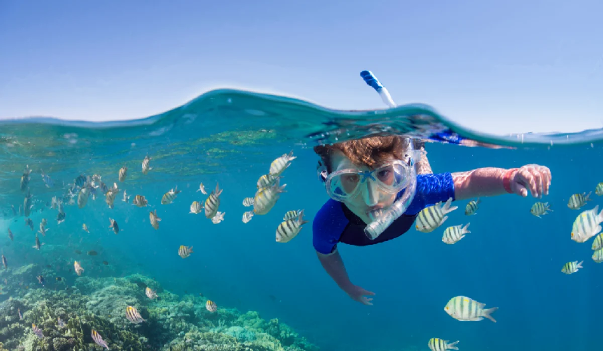 Kid on the reef