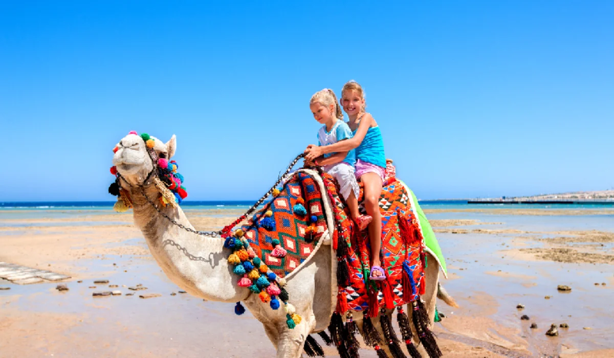 Tourists two sisters children riding camel on beach of Egypt