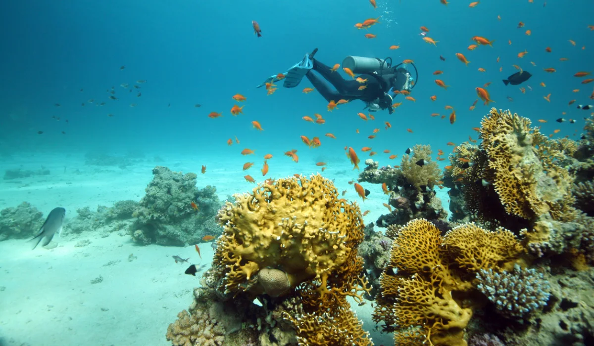 Can you visit Sharm El Sheikh or Dahab without a visa?