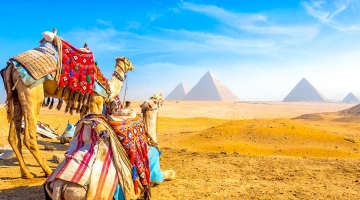 Tour a Egipto en 5 Días | El Cairo y Luxor