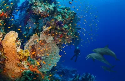 5° Giorno: Giornata a tua Disposizione