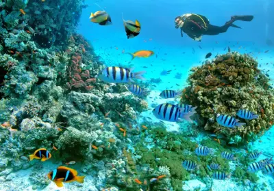Il Mar Rosso | Guida di Viaggio | Tour Egitto