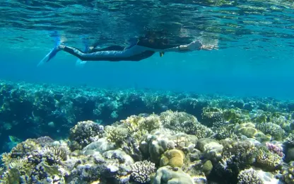 vacanza in egitto ad agosto