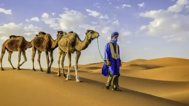 Giovani Tuareg con cammelli nel deserto del Sahara Occidentale in Africa, Zagora Marocco
