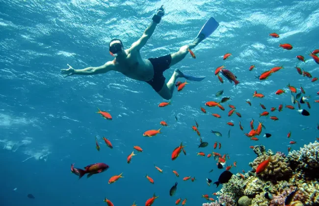 crociera sul nilo e mar rosso