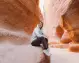 escursione da sharm a petra