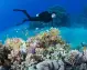 Sharm El Luli Snorkeling