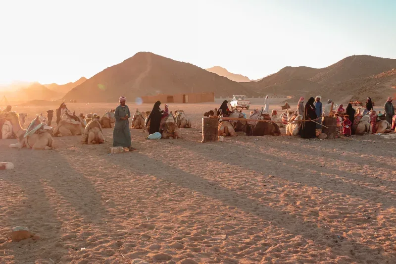 deserto escursione sharm el sheik