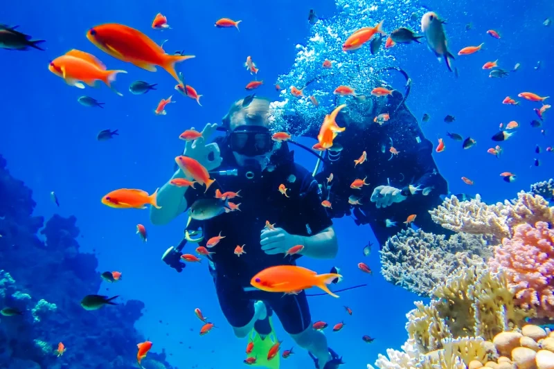 escursione isola di tiran