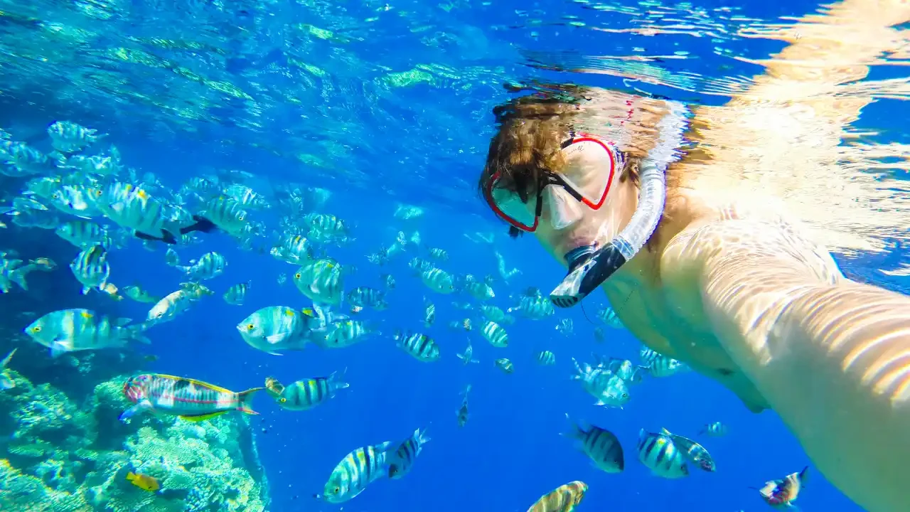 Snorkeling Marsa Alam