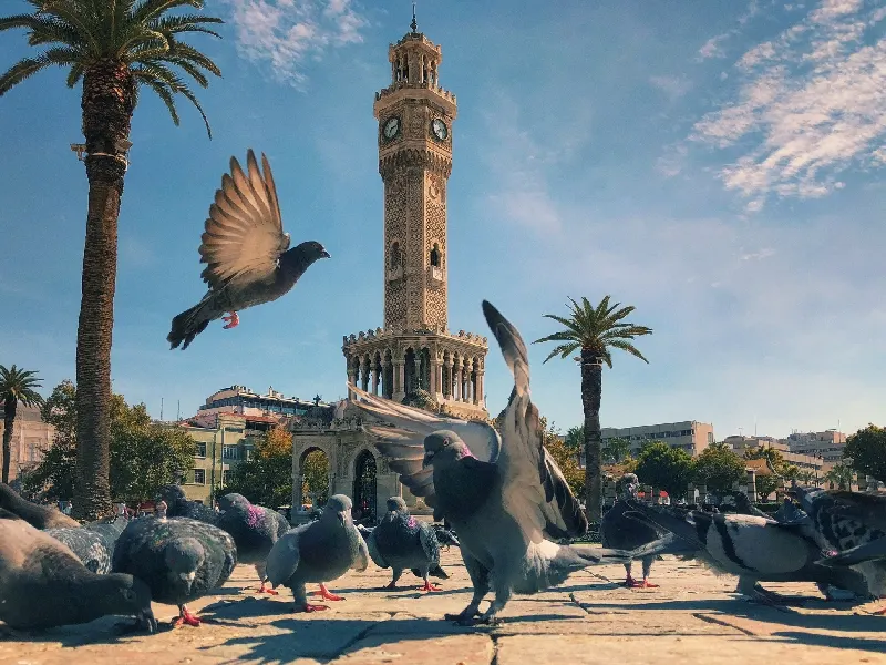 Izmir