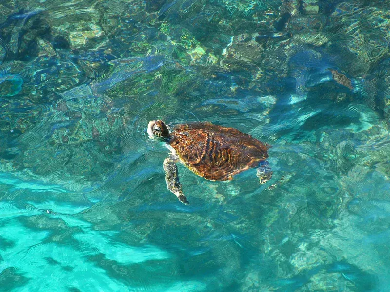 Cosa vedere in Oman