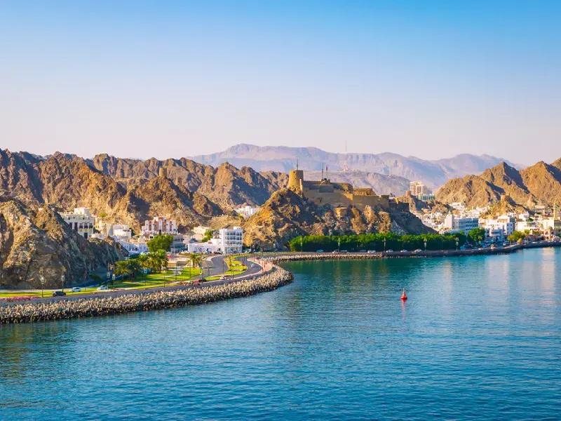 Mare in Oman 
