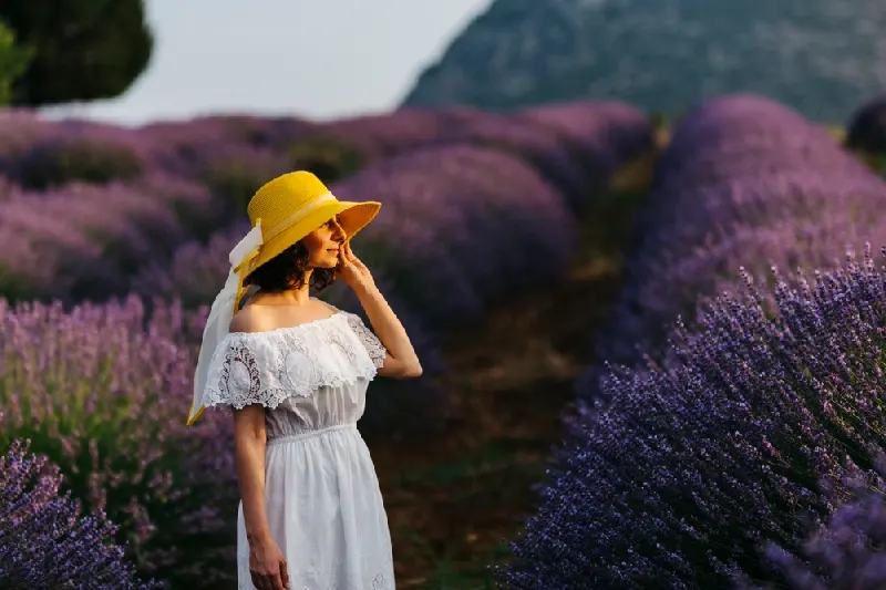 il Festival dei Tulipani