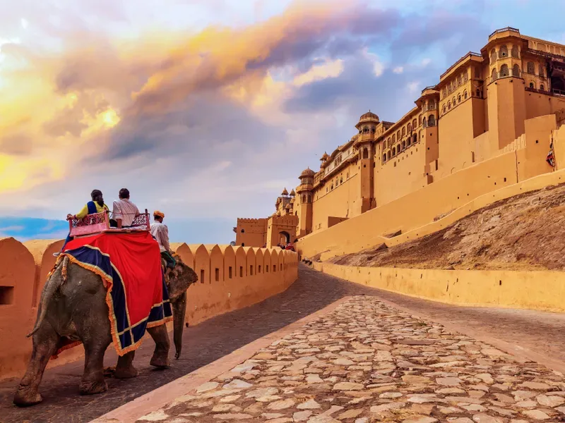 Elefante che cammina davanti al Fort Amber in Rajasthan