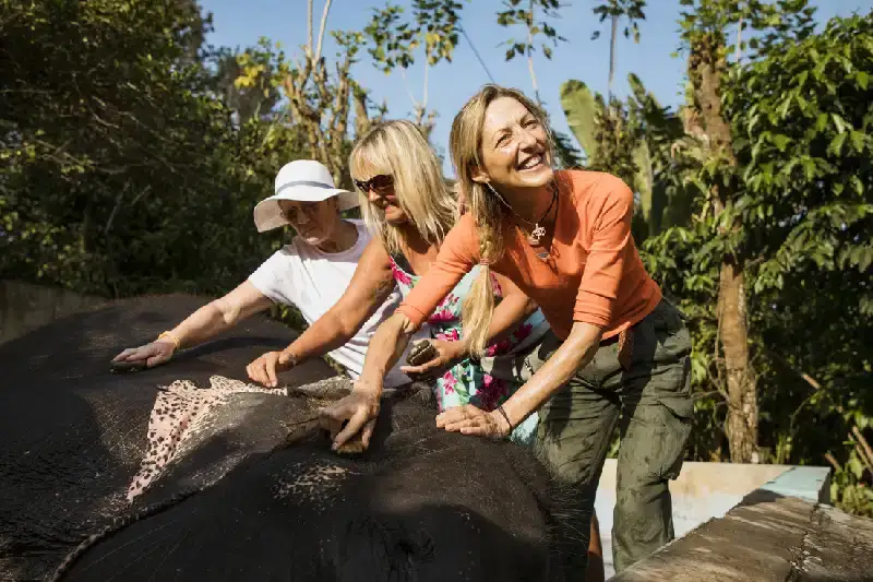 turista con un' elefante a Kerala India , Viaggio in india dove andare