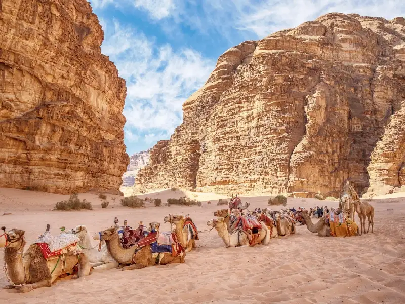  Deserto della Giordania