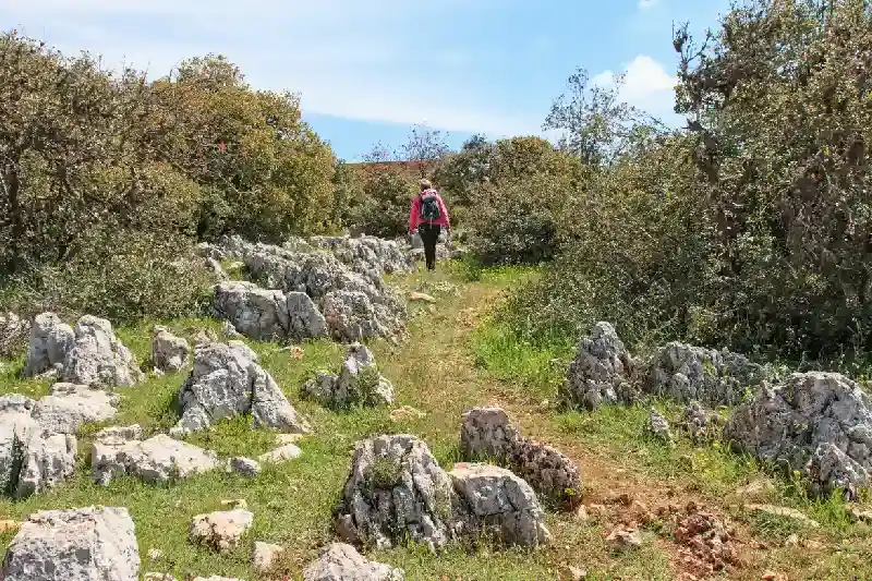 una turista ad ajlun , castello di ajlun giordania