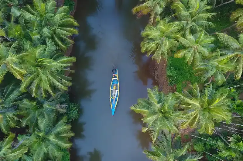 kerala india , kerala cosa vedere