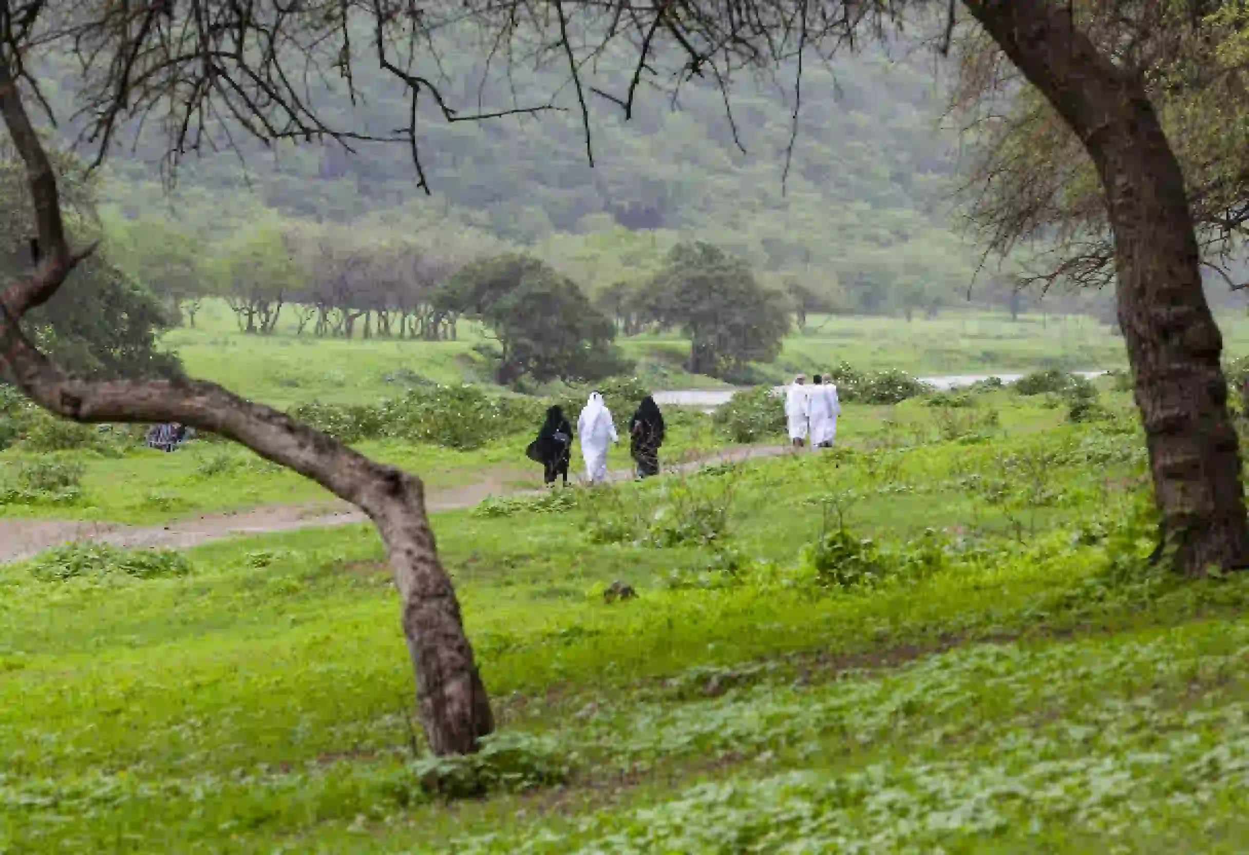 Dohfar oman , salalah cosa vedere
