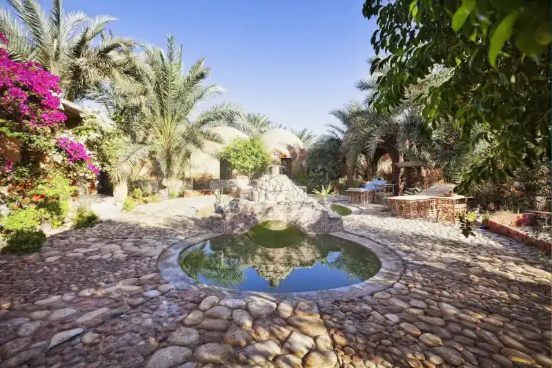Oasi di Siwa