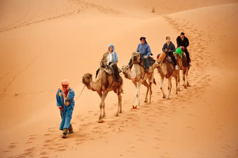 Safari turistico in cammello nel deserto del Sahara, Marocco in inverno