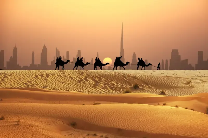 Carovana di turisti in cammello che cammina nel deserto al tramonto vicino allo skyline di Dubai