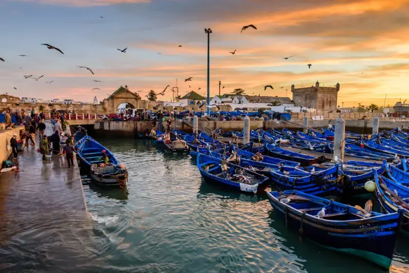 Bellissima alba nel porto di Essaouira, Viaggio in Marocco