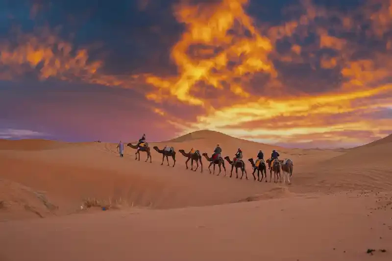 edouin guida la carovana di cammelli con i turisti, deserto di Merzouga