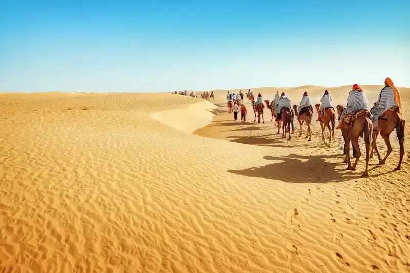 Persone sui cammelli che attraversano il deserto del Sahara, deserto di Merzouga