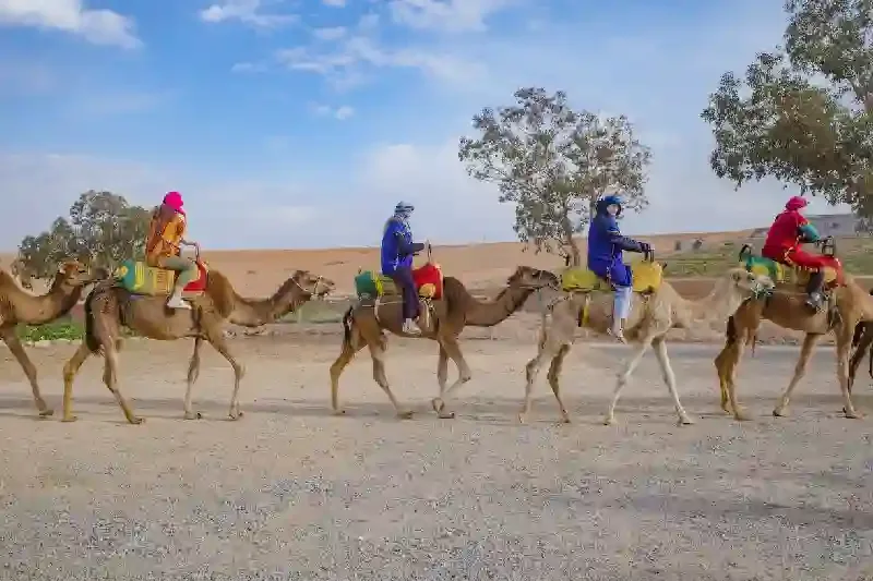 I turisti cavalcano i dromedari nel deserto di Agafay, Marrakech deserto Agafay