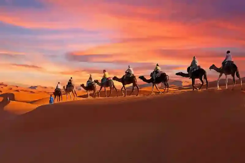 Carovana di cammelli che attraversa il deserto del Sahara in Marocco al tramonto, Deserto del sahara marocco