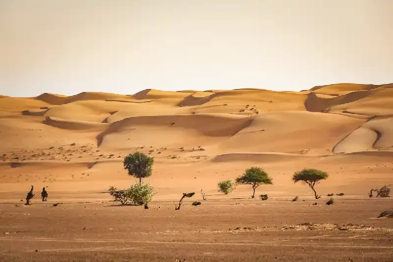 deserto di Wahiba Sands, il deserto di Wahiba Sands