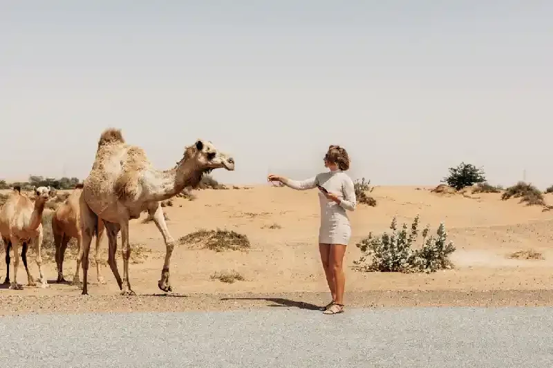 una donna nel deserto di Wahiba Sands, il deserto di Wahiba Sands