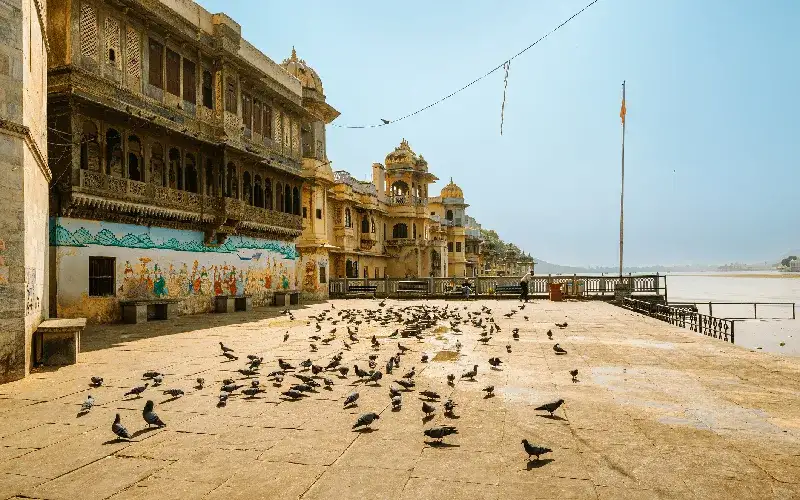 udaipur