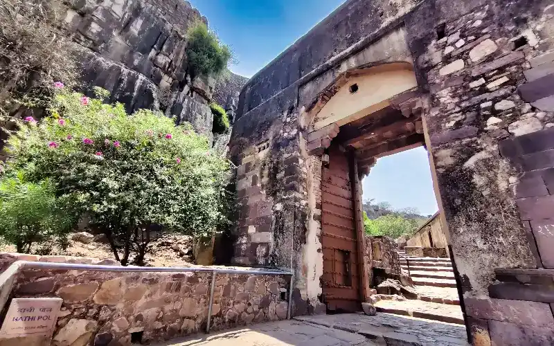  Ranthambore
