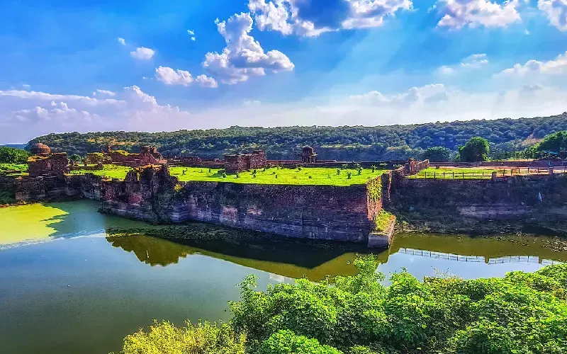  Ranthambore