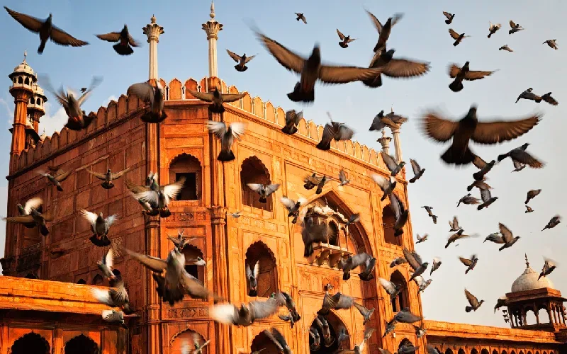 jama masjid