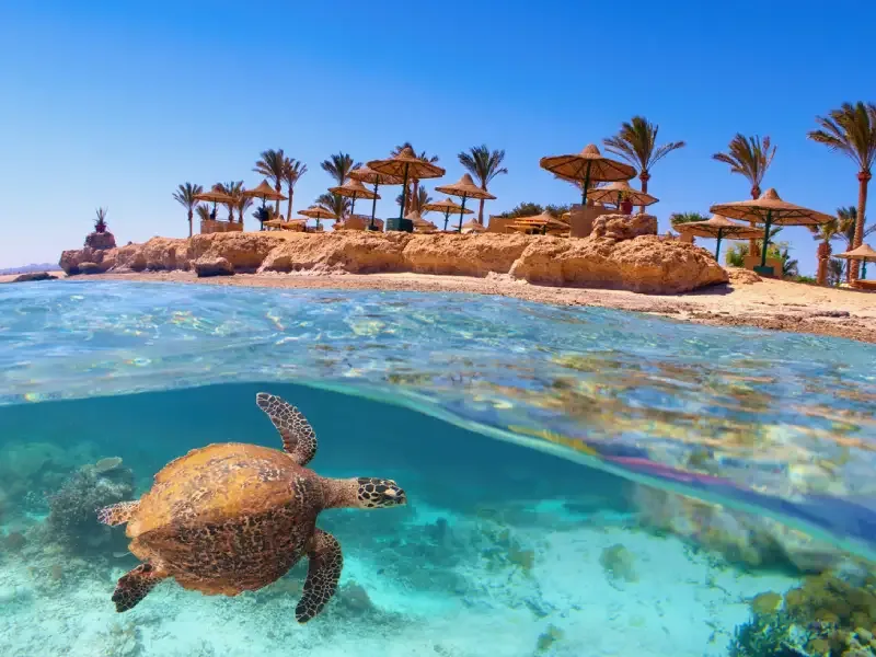 Dove si trova Marsa Alam e come arrivare