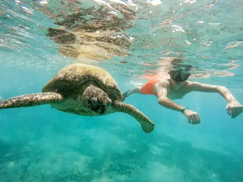 Cosa vedere a Marsa Alam