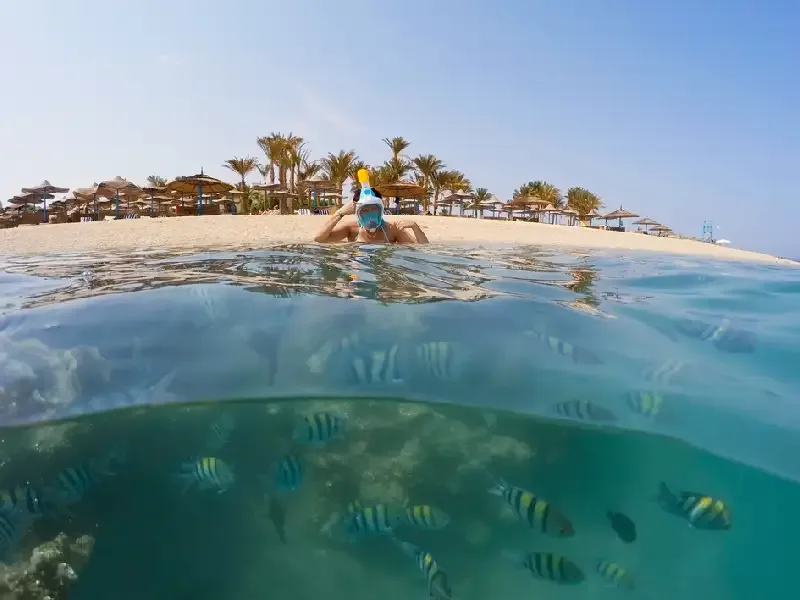 Perchè devi visitare Marsa Alam Egitto?