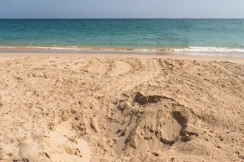 Ras Al Jinz