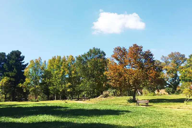 Ifrane: La Città Segreta del Marocco Che Ti Lascerà Senza Parole