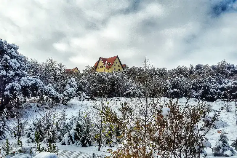 Ifrane: La Città Segreta del Marocco Che Ti Lascerà Senza Parole