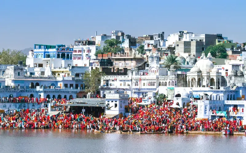 fiera dei cammelli di pushkar