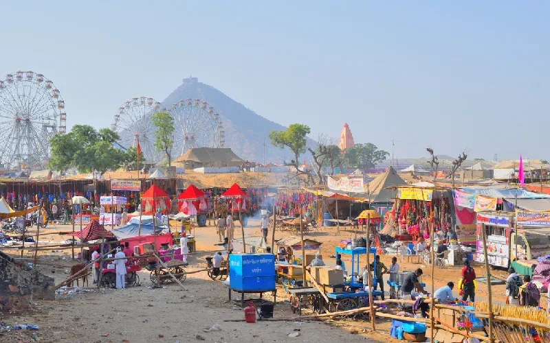 fiera dei cammelli di pushkar