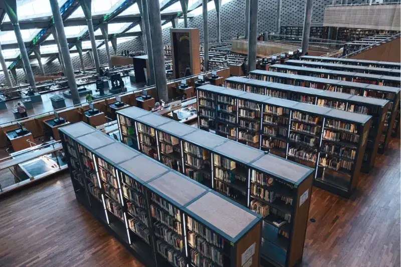 biblioteca di alessandria