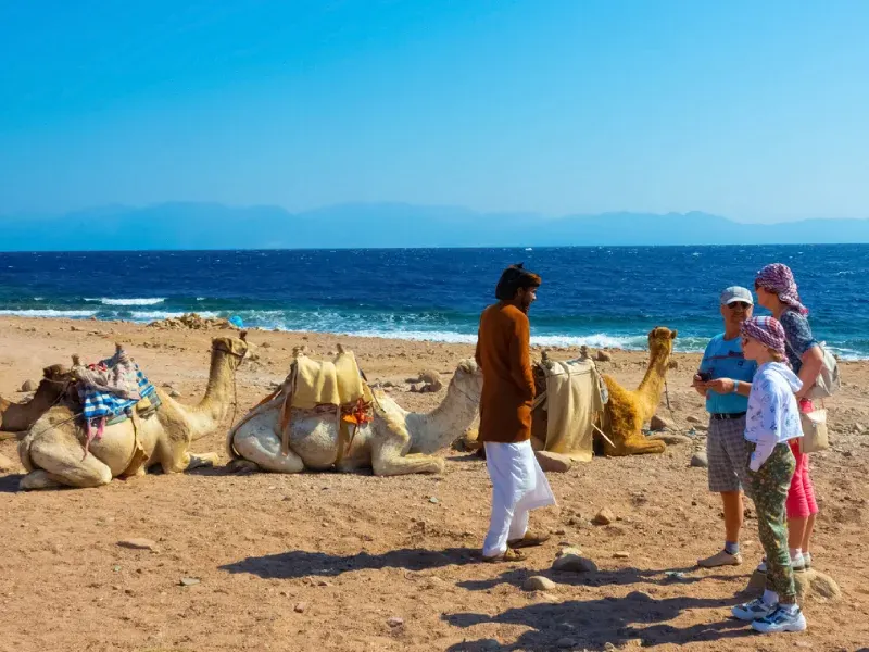 Deserto del Sinai