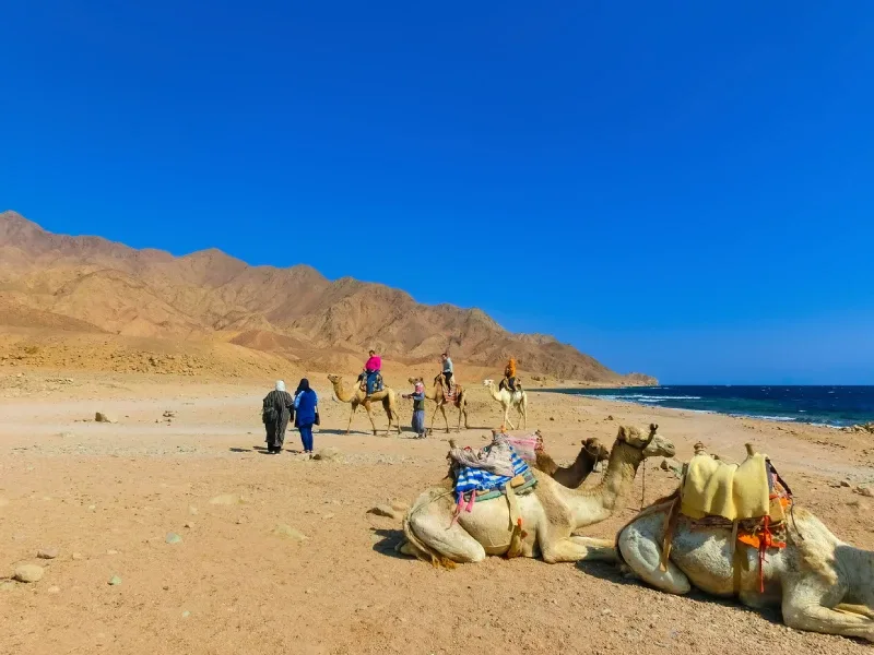 Deserto del Sinai